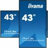 IIYAMA Monitor digital signage 43 LH4360UHS-B2A